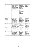 Biznesa plāns 'SIA "Last" biznesa plāns', 23.