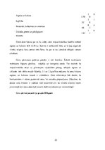 Biznesa plāns 'SIA "Last" biznesa plāns', 35.