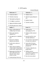 Biznesa plāns 'SIA "Last" biznesa plāns', 55.