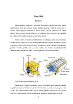 Konspekts 'Starteris', 2.