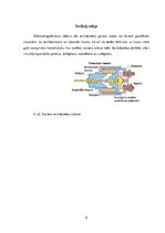 Konspekts 'Starteris', 5.