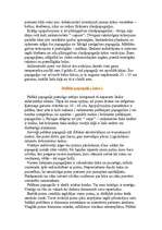 Referāts 'Papagaiļi', 12.