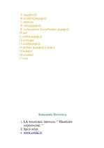 Referāts 'Papagaiļi', 18.