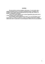 Referāts 'Patērētāja izvēles process', 2.