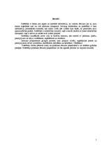 Referāts 'Patērētāja izvēles process', 5.