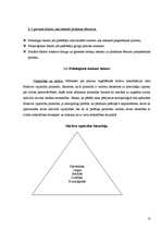 Referāts 'Patērētāja izvēles process', 10.