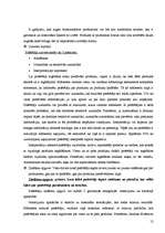 Referāts 'Patērētāja izvēles process', 12.