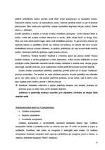 Referāts 'Patērētāja izvēles process', 13.