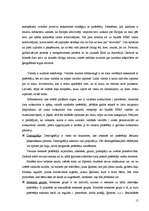 Referāts 'Patērētāja izvēles process', 15.