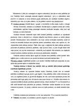 Referāts 'Patērētāja izvēles process', 17.