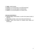 Referāts 'Patērētāja izvēles process', 18.