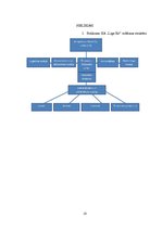 Prakses atskaite 'Akadēmiskās prakses atskaite uzņēmumā SIA "Lage Ko"', 18.