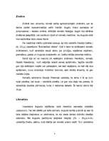 Referāts 'Senās Romas kultūra', 4.