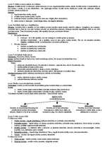 Konspekts 'Vispārējā tiesību teorija', 2.