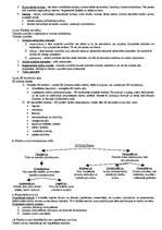 Konspekts 'Vispārējā tiesību teorija', 3.