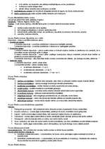 Konspekts 'Vispārējā tiesību teorija', 8.