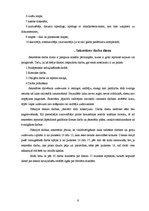 Referāts 'Sekretāres darbs', 11.