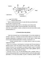 Referāts 'Uzņēmējdarbības būtība, plānošana un mērķi', 10.
