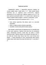 Biznesa plāns 'Biznesa plāns grāmatvedības pakalpojumu sniegšanai', 4.