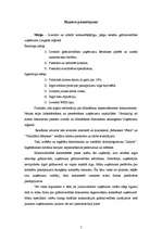 Biznesa plāns 'Biznesa plāns grāmatvedības pakalpojumu sniegšanai', 5.