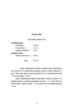 Biznesa plāns 'Biznesa plāns grāmatvedības pakalpojumu sniegšanai', 12.