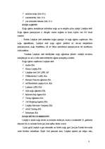 Referāts 'Latvijas ostu attīstības svarīgākās tendences Latvijā', 6.