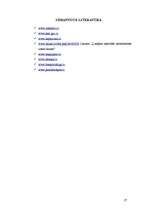 Referāts 'Latvijas ostu attīstības svarīgākās tendences Latvijā', 27.