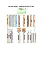 Prakses atskaite 'Prakses atskaite lietvedībā', 4.