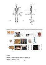Prakses atskaite 'Ассоциации как механизм запоминания латинской лексики', 16.