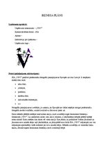 Konspekts 'Biznesa plāns', 1.