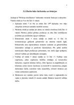 Referāts 'SIA “Kaprikon”', 7.