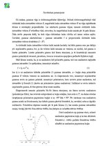 Paraugs 'Malī likuma eksperimentālā pārbaude', 8.