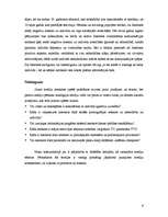 Referāts 'Jauno masu mediju tehnoloģiju sociālā ietekme', 9.