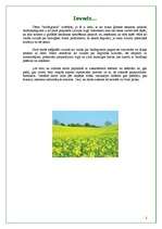 Referāts 'Biodegviela', 2.