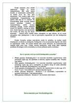 Referāts 'Biodegviela', 7.