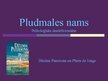 Prezentācija 'Grāmatas "Pludmales nams" analīze', 1.