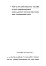 Referāts 'Tauki', 5.