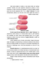 Referāts 'Tauki', 11.