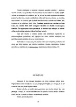 Referāts 'Tauki', 14.