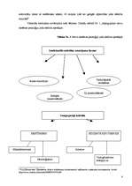 Referāts 'Kretīnisms', 4.