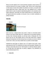 Referāts 'Semantik der Fachwörter aus dem Bereich Brücken, Straßen und Wegebau', 24.