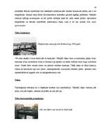 Referāts 'Semantik der Fachwörter aus dem Bereich Brücken, Straßen und Wegebau', 29.