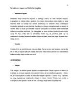 Referāts 'Semantik der Fachwörter aus dem Bereich Brücken, Straßen und Wegebau', 35.