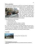 Referāts 'Semantik der Fachwörter aus dem Bereich Brücken, Straßen und Wegebau', 38.