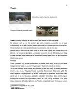 Referāts 'Semantik der Fachwörter aus dem Bereich Brücken, Straßen und Wegebau', 41.