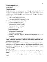 Referāts 'Semantik der Fachwörter aus dem Bereich Brücken, Straßen und Wegebau', 46.