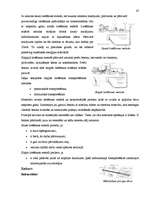 Referāts 'Semantik der Fachwörter aus dem Bereich Brücken, Straßen und Wegebau', 47.