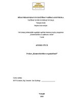 Prakses atskaite 'Prakse komercdarbības organizēšanā', 1.