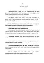 Prakses atskaite 'Prakse komercdarbības organizēšanā', 13.