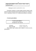 Prakses atskaite 'Prakse komercdarbības organizēšanā', 26.